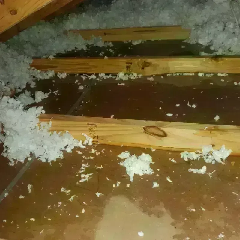 Attic Water Damage in Montgomeryville, PA